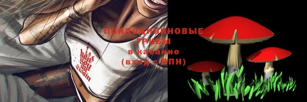 гашик Алзамай
