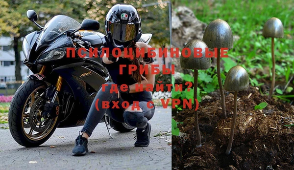 прущая мука Абаза