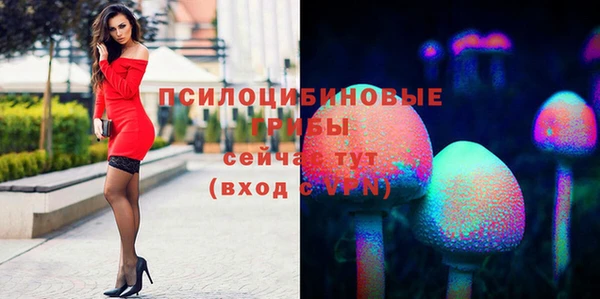 тгк Алексин