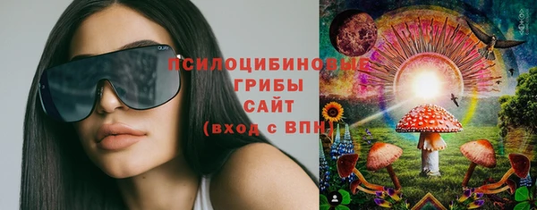 дурь Алексеевка