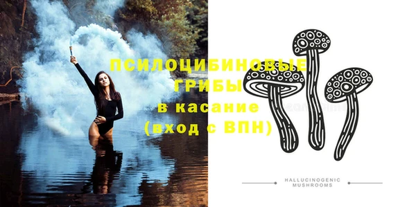 дурь Алексеевка