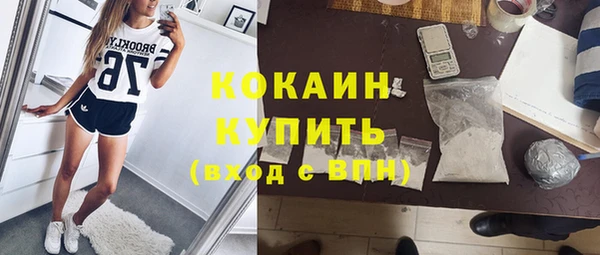 гашик Алзамай